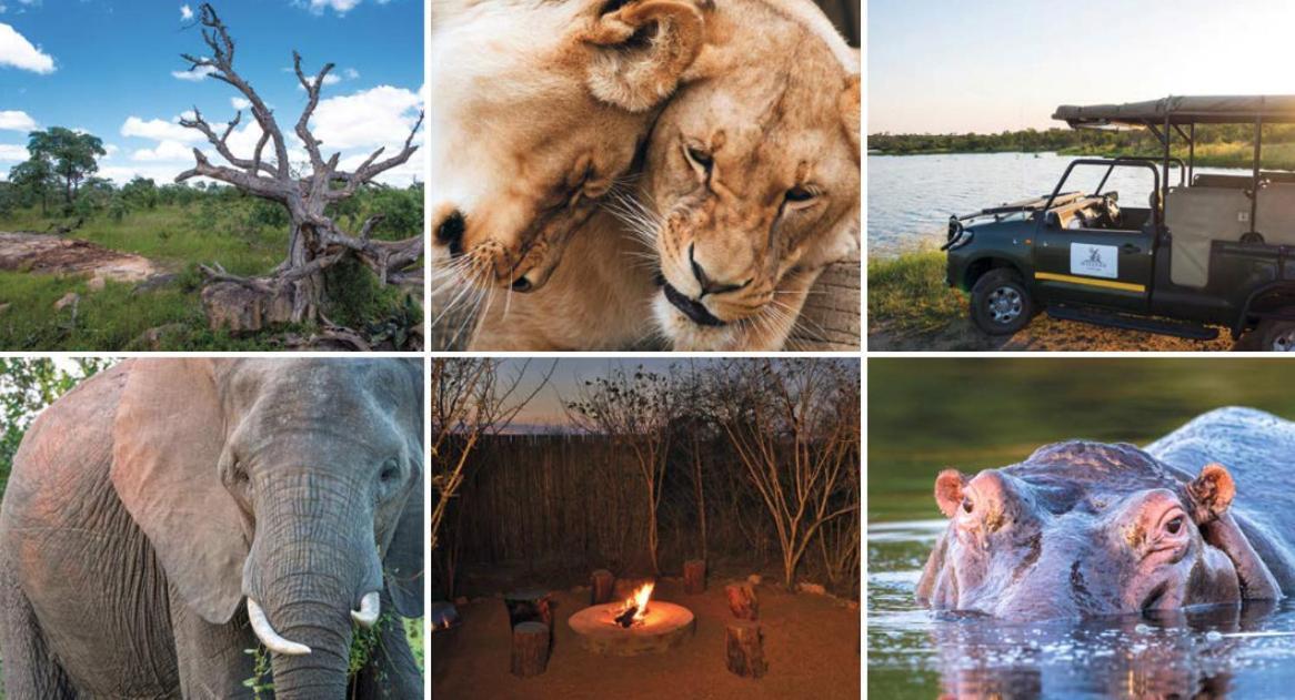 Kruger National Park Mjejane Private Game Reserve Hectorspruit Esterno foto